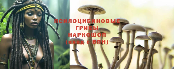 стафф Кущёвская