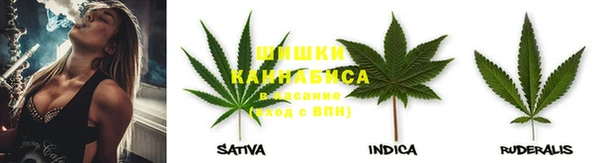 бошки Сатка