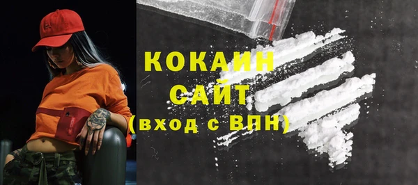 бошки Сатка