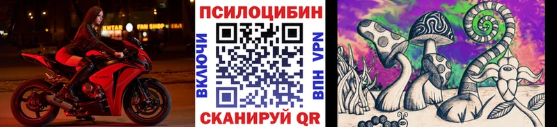 Галлюциногенные грибы Cubensis магазин продажи Сольвычегодск