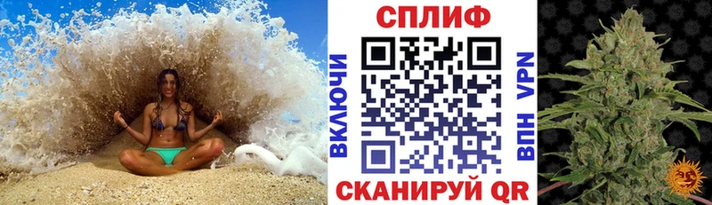 Бошки Шишки план  mega ссылки  Сольвычегодск 